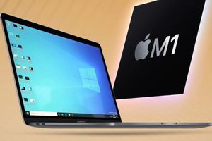 Как перенести файлы со старого компьютера Windows на новый Mac