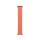 Ремінець Apple Tangerine Braided Solo Loop 42mm (MDJA4)