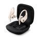 Навушники Powerbeats Pro - True Wireless Earbuds - Ivory (MV722)
