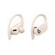 Навушники Powerbeats Pro - True Wireless Earbuds - Ivory (MV722)