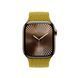 Ремінець Apple Chartreuse Braided Solo Loop 42mm (MY173)
