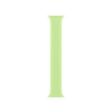 Ремешок Apple Northern Lights Solo Loop 42mm (MDQ34)
