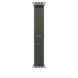 Ремешок Apple 49mm Green Trail Loop - M/L - Natural Titanium Finish (MXTN3)