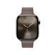 Ремінець Apple 42mm Dark Taupe Modern Buckle - Medium (MXW33)