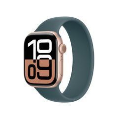 Ремешок Apple Lake Green Solo Loop 42mm (MY6P3)
