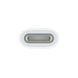 Переходник Apple USB-C to Apple Pencil Adapter (MQLU3)