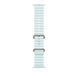 Ремешок Apple 49mm Ice Blue Ocean Band - Natural Titanium Finish (MXTF3)