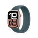 Ремінець Apple Lake Green Solo Loop 42mm (MY6P3)
