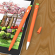 Чехол силиконовый для Apple Pencil 1 - Морковка