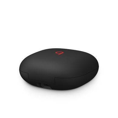 Навушники Beats Fit Pro True Wireless Earbuds — Beats Black (MK2F3)
