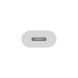 Переходник Apple USB-C to Lightning Adapter (MUQX3)