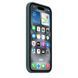 Чохол Apple iPhone 16 Silicone Case with MagSafe - Lake Green (MYY83)