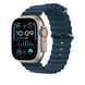 Удлинитель для ремешка Apple Ocean Band Extension 49mm - Blue (MT643)