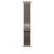 Ремінець Apple 49mm Natural Titanium Milanese Loop - Large (MXKE3)