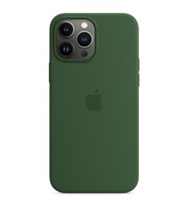 Чехол Аpple iPhone 13 Pro Max Silicone Case with MagSafe - Clover (MM2P3)