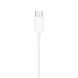 Навушники Apple EarPods with USB-C (MTJY3)