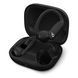 Навушники Powerbeats Pro 2 — High-Performance Earbuds — Jet Black (MX723)