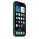 Чехол Apple iPhone 16 Pro Silicone Case with MagSafe - Lake Green (MYYR3)