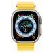 Ремешок Apple Ocean Band для Watch 49mm - Yellow (MQEC3)