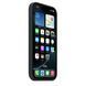 Чехол Apple iPhone 16 Pro Silicone Case with MagSafe - Black (MYYJ3)