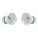 Навушники Beats Solo Buds — True Wireless Earbuds — Storm Gray (MUVY3)