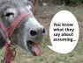 A donkey with a speech bubble talks about assuming.