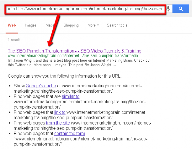 Screenshot of pumpkin SEO experiment ninth