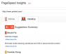 PageSpeed Insights example