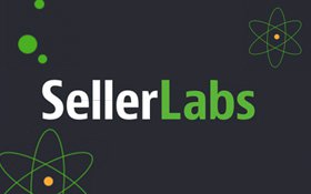 Seller Labs – Brand Voice