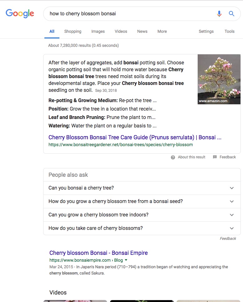 Screenshot of Google Search results for How to cherry blossom bonsai