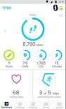 Screenshot of one of FitBit's in-app dashboard