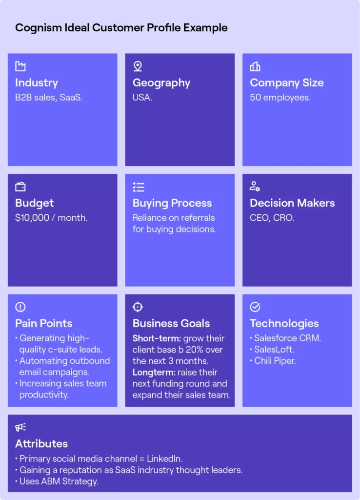 Cognism Ideal Customer Profile Example Infographic